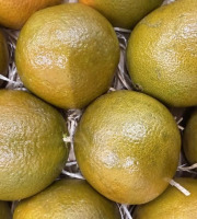 L'OLIVERAIE DU COUDON - ORANGE CHOCOLAT 3KG