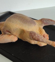 Ferme Bleu Canard - Pigeonneau 340g