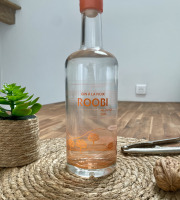 Des 2 Puys - Gin à la Noix