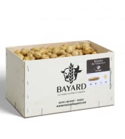 Maison Bayard - Pommes de terre Mini Ratte du Santerre - 5kg