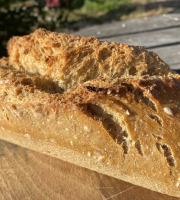 Ferme Sinsac - Pain au levain aux noix du Périgord vert (6 x 1kg)