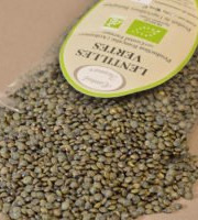 L'Atelier Contal - Paysan Meunier Biscuitier - Lentilles Vertes 5 kg