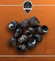 Saint Kerber - Cancale - Bigorneaux grimpés - calibre Moyen - barquette de 1 kg