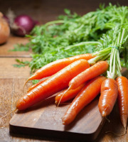 Nature et Saveurs - Ferme Aquaponique et Permacole Astérienne - Carotte orange longue – Le légume racine par excellence