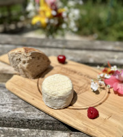 Chèvrerie de Ker Anna - Crottin mi affiné