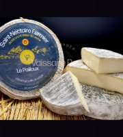 Vaissaire Papon Affineur - Fromager - Saint-Nectaire fermier AOP- Médaille d'Argent - Le Pailloux  - 400g