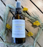 La Cabane à plantes - Hydrolat – Eau florale d’Hélichryse Italienne 10cl
