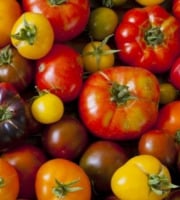 Les Jardins de Gérard - Tomate ancienne Bio - 1 kg