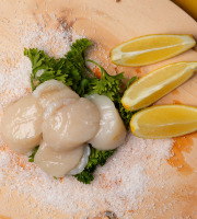 Pêcherie Granvillaise - Noix de Saint-Jacques de Normandie 200g