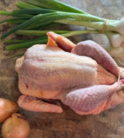 La Maison Pourthié - Pintade 2,5kg