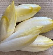 Les Jardins de Gérard - Endive Bio - 1 kg