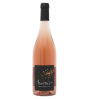 Domaine Bailly Jean-Pierre - Coteaux du Giennois Rosé "Montour"