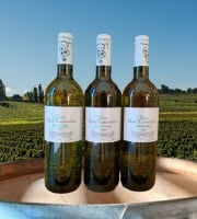 Château Haut-Lamouthe - Bergerac Blanc Sec AOC - 3x75cl