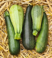 La Ferme de Goas Per - Courgette Bio - 250g