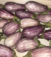 Des Poules et des Vignes à Bourgueil - Aubergine du jardin