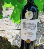 Château Jouvente - Le grand millésime 2015 de Château Jouvente (AOC Graves) - 6 bouteilles de 75 cl x 2