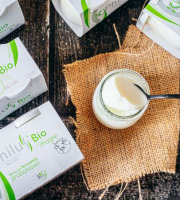 Laiterie du Climont - K-Philus - 12 Pots De K-philus Au Lait Écrémé 0%