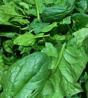Ferme Sinsac - Epinard frais en poche de 150 grs