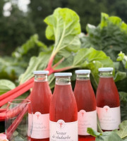 Maison Vermes - Producteurs de Rhubarbes - Lot de 12 bouteilles de Nectar de rhubarbe en 75cl