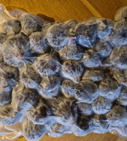 Figaro - Figues bio congelées 1kg