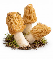 Naturélium - Verpe de Bohême fraiche France 1KG