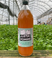 Les Nouvelles Fermes - Jus de pomme à la menthe (1L) x 6