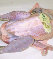Ferme de la Paumerais - DINDE DE LA FERME - 6 Kg (x1)