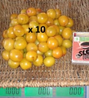 LES JARDINS DE KARINE - Prune Myrobolan jaune surgelée avec noyau - 10kg