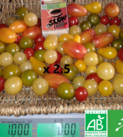 LES JARDINS DE KARINE - Tomates cerises en mélange - 2.5kg