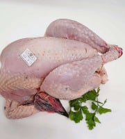 Ferme de la Paumerais - POULET DE LA FERME (x6) - 1,7 Kg