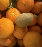 L'OLIVERAIE DU COUDON - MANDARINE TANGO ( HYBRIDE HYBRIDE ORANGE MANDARINE ) grosse fruit sans pepin 6kg500