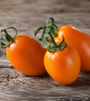 Nature et Saveurs - Ferme Aquaponique et Permacole Astérienne - Tomate orange allongée - Kg
