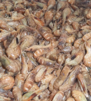 Saveurs Océanes IO - Crevettes grises cuites – 100g