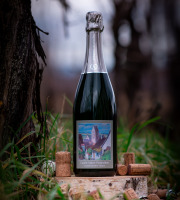 Domaine François WECK et fils - Crémant - Cuvée St Pantaléon - 75 cl x12 extra brut zero dosage