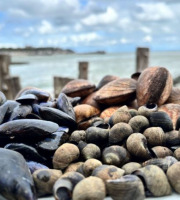 Saint Kerber - Cancale - Mix de la mer 3kgs - Moules STG/Amandes/Bigorneaux