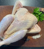 Des Poules et des Vignes à Bourgueil - Poules à mijoter (x10)