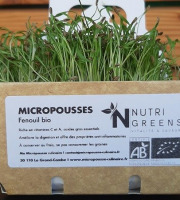 Ma Micropousse culinaire - Micro pousses de fenouil Bio 4 barquettes