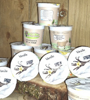 La Ferme de Labergement - Crème dessert Vanille 100 g x 24