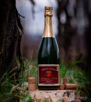 Domaine François WECK et fils - FOIRE AUX VINS : Le Crémant - 75 cl x6