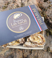 Jean Luc Le Gall Huîtres et Coquillages - Huitres Creuses Premium N3 x 48 Pièces
