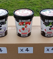 Les Glaces de la Vallée - Maxi Coffret glaces Yaourt et Fruits "la Vallée" 12x500ml