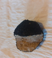 Les Vergers de la Vautée - Truffe de Bourgogne Fraîche