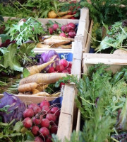 Aux Jardins des Colibris - Panier de légumes Bio "Printemps gourmand"