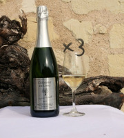 Domaine de la Chopinière du Roy - Lot de 3 bouteilles Crémant de Loire Blanc Brut, Fines Bulles et Fruité AOP - 3x75 cl