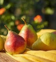 Domaine Reverchon - Poire William du Vaucluse 4Kg