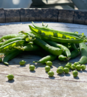 La Boite à Herbes - Petit pois Bio 1 kg