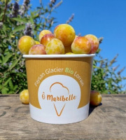 O Maribelle - Mirabelles IGP de Lorraine - BIO - 10kg