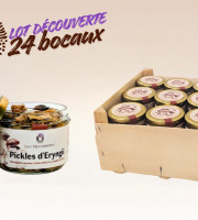 Les Myconautes - Lot 24 bocaux Pickles de pleurotes eryngii