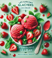 Les Garçons Glaciers - Sorbet BIO Fraise menthe fraiche 365ml