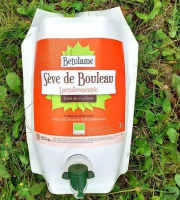 Betulame, les bienfaits du bouleau - Sève lactofermentée - 1,5L (demi-cure)